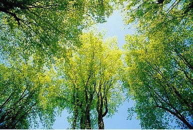 育碧多人户外运动游戏《极限国度》中文预告片